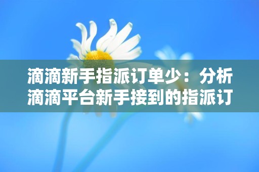 滴滴新手指派订单少：分析滴滴平台新手接到的指派订单较少的原因和解决方案