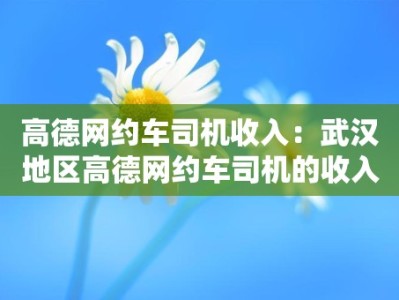 高德网约车司机收入：武汉地区高德网约车司机的收入情况及影响因素