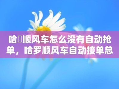 哈啰顺风车怎么没有自动抢单，哈罗顺风车自动接单总是接不了单是怎么回事