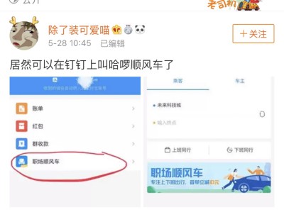 哈啰顺风车抢单教程，哈啰顺风车抢单教程图解