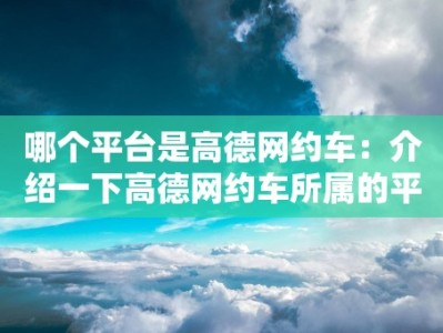 哪个平台是高德网约车：介绍一下高德网约车所属的平台和品牌