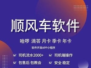 哈啰顺风车抢到单神器，哈啰顺风车如何抢到大单?