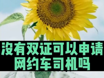 湛江机场滴滴网约车怎样办理，湛江机场在哪里接人