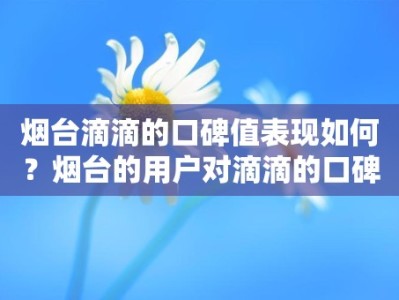 烟台滴滴的口碑值表现如何？烟台的用户对滴滴的口碑值有何评价？