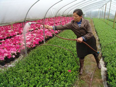 成都携华出行起步价，成都携华出行司机收入怎么样