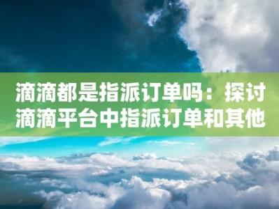 滴滴都是指派订单吗：探讨滴滴平台中指派订单和其他订单类型的比例