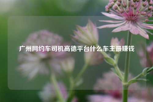 广州网约车司机高德平台什么车主最赚钱